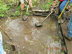 Dredging the Spring
