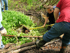 Freeing the Grasscatcher from the Watercress