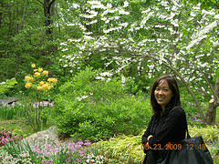 Donella at Micheldever Farm