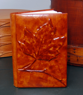 Photo of the Aunt Myrna Book