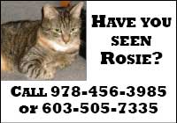 Have you seen Rosie?