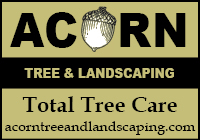Acorn Tree and Landscaping
