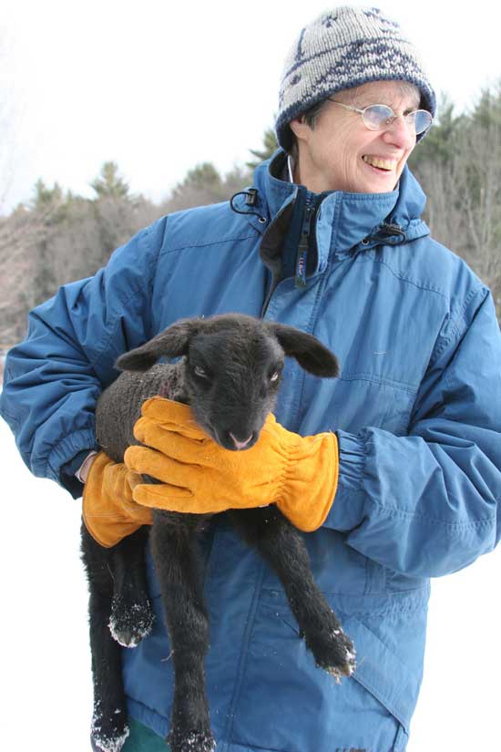 Judy Warner holds a day-old lamb.