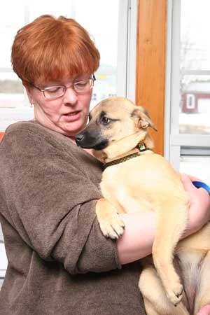 Jana Sweeney of Stoneham holds Tammy, a Feist/Terrier mix that she hopes to adopt from the Great Dog Rescue on Ayer Road. (Photo by Lisa Aciukewicz) Jana Sweeney of Stoneham holds Tammy, a Feist/Terrier mix that she hopes to adopt from the Great Dog Rescue on Ayer Road. (Photo by Lisa Aciukewicz)