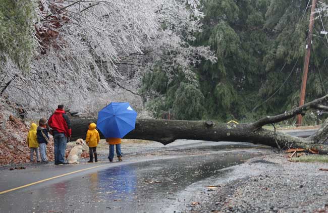 The Hays family discovers the cause of their power outage on Depot Road Friday morning.