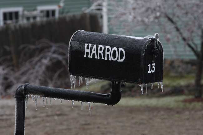 The Harrod’s mailbox is one of the few things left intact on the little common on Fairbank Street.