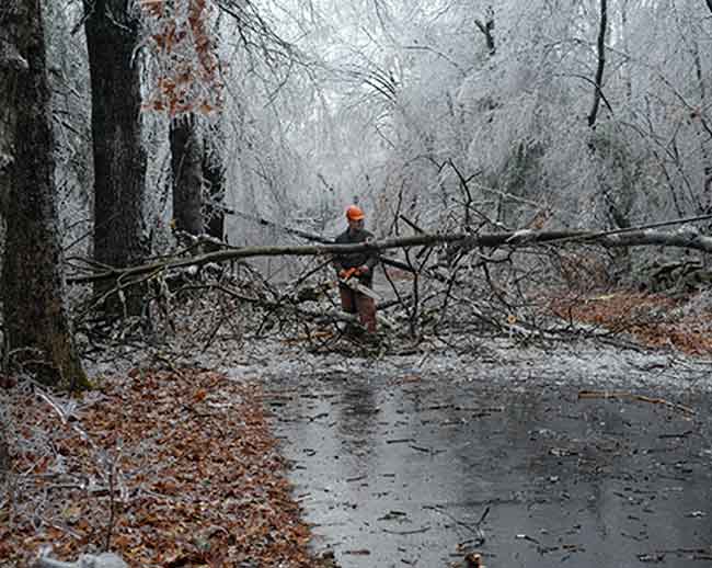 Harvard firefighters work to clear trees on Littleton Road. (Courtesy photo by Charles Kronauer)