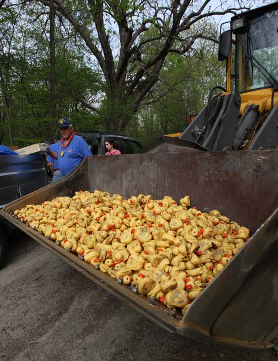 Duckies await the annual Ducky Wucky River Race.