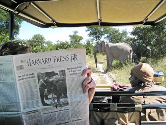 Press articles on the special education audit and the marijuana bylaw take a rapt reader's attention away from the wildlife in Botswana. 