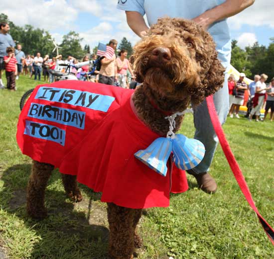 Bruce and Joyce Gallagher’s dog, Indie, doesn’t know what all the fuss is about. 