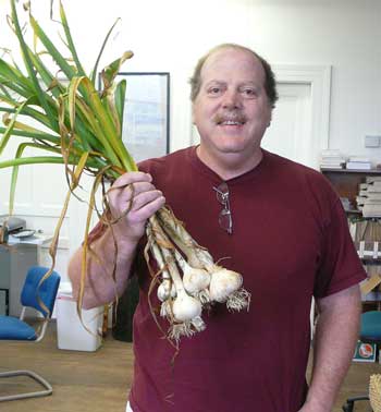 This week’s winner for the biggest head of garlic (9¼ inches in circumference) is Warren Ave. resident Joe D’Eramo, whose porcelain hardneck garlic was grown in the community garden. This week’s winner for the biggest head of garlic (9¼ inches in circumference) is Warren Ave. resident Joe D’Eramo, whose porcelain hardneck garlic was grown in the community garden.