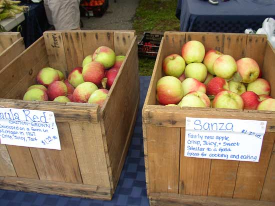 Early apples from Springdell Farm.