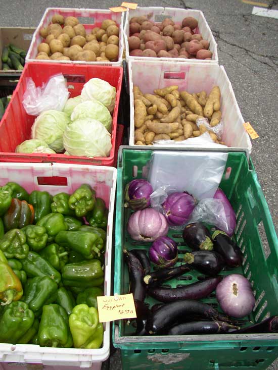 Summer's bounty from Applefield Farm in Stow.