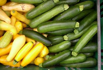 Cucumbers and summer squash—these are from Applefield Farm in Stow—can be canned. (Photo by Barbara Kemp) Cucumbers and summer squash—these are from Applefield Farm in Stow—can be canned. (Photo by Barbara Kemp)