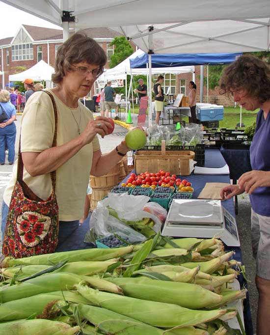 Pat Cooper compares apples at the Springdell Farm  booth.