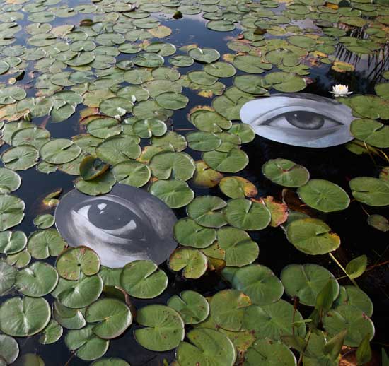 An unexpected set of eyes peer out of the water at Old Frog Pond. This work by Alicia Dwyer is part of an outdoor sculpture exhibit at Old Frong Pond on Eldridge Road through Columbus Day.