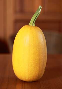 At 8 inches tall and 4.5 inches in diameter, this specimen could have been a winner in a category: mutant pumpkin. (Photo by Lisa Aciukewicz)