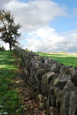 A stone wall along Prospect Hill Road sits above one of the town’s most scenic vistas. (Photo by Sue Fitterman) A stone wall along Prospect Hill Road sits above one of the town’s most scenic vistas. (Photo by Sue Fitterman)