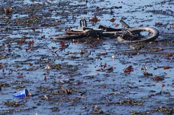 A bike mired in mud became visible after the drawdown of Bare Hill Pond. (Courtesy photo) A bike mired in mud became visible after the drawdown of Bare Hill Pond. (Courtesy photo)