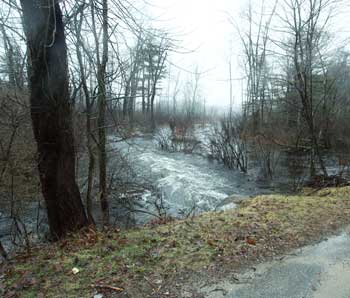 The water churns through the swamp outfall beneath Under Pin Hill Road, normally a far more serene scene. (Photo by Lisa Aciukewicz) The water churns through the swamp outfall beneath Under Pin Hill Road, normally a far more serene scene. (Photo by Lisa Aciukewicz)