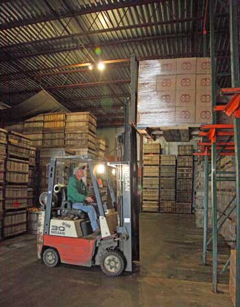 Dan Carter uses a forklift to move apples in the cold storage facility at Carlson Orchards. The facility allows the orchard to store its own apples and import them from other orchards so that they can press up to 60,000 gallons of cider a day. (Photo by Lisa Aciukewicz)