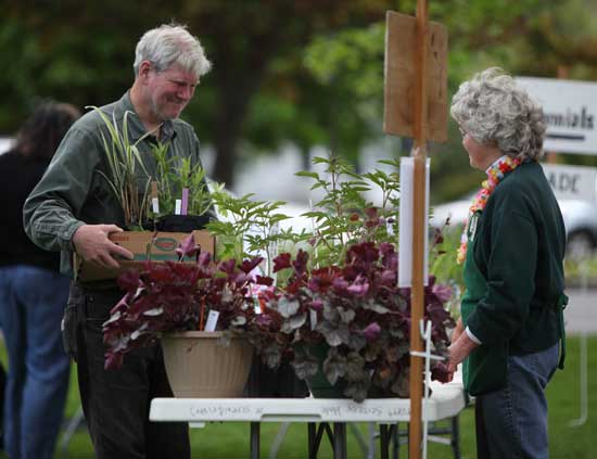 George Watkins adds to his collection of perennials at the Garden Club of Harvard’s annual plant sale held on the Common on May 15. Garden Club member Barbara Heim looks on.