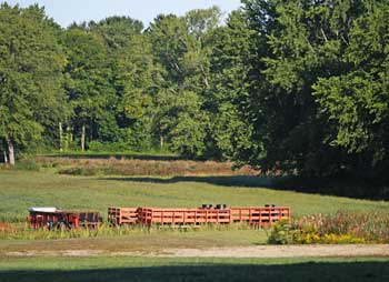 A section of Evans farm in Still River that abuts the Nashua River would be part of the study area. (Photo by Lisa Aciukewicz) A section of Evans farm in Still River that abuts the Nashua River would be part of the study area. (Photo by Lisa Aciukewicz)