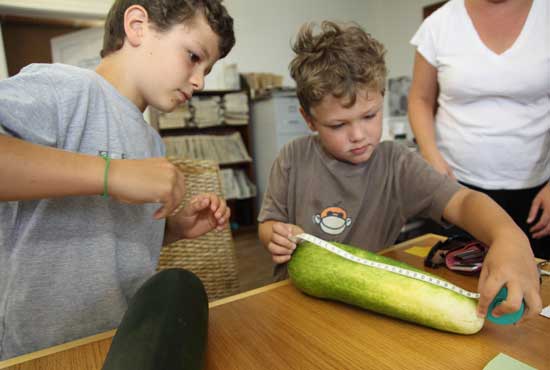 Ben Carbonnel, left, with a 13-inch cucumber, and Charlie Carbonell with a zucchini that measured about 16 ½ inches.