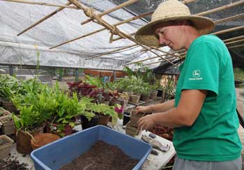 Deanna Jayne prepares to re-pot a plant in her greenhouse at Blue Moon Farm. (Photo by Lisa Aciukewicz)