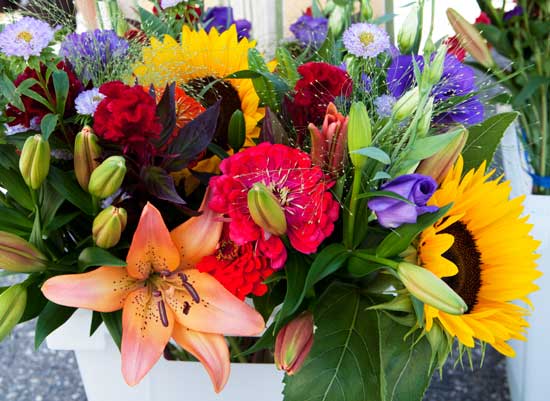 Floral designer Richard Gioiosa of Harvard had brilliant bouquets of flowers for sale from his Westcott Barn.