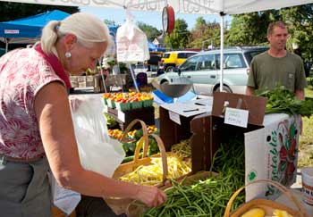 Diane Rayla checks out the beans grown in Lancaster at David Harper’s farmstand on the opening day of the Farmers’ Market in the parking lot in front of the elementary school on Aug. 28. (Photo by Ellen Harasimowicz) 
