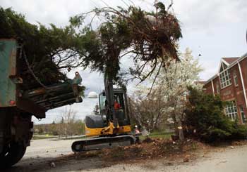 The DPW removed the overgrown juniper bushes in front of the elementary school in April. (Photo by Lisa Aciukewicz)