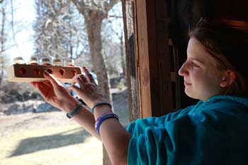 Jim's daughter, Gwyneth, holds up a set of bottles that show the colors of each grade of syrup. (Photo by Lisa Aciukewicz) 
