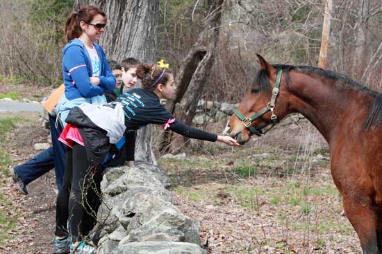Julie, Max, Alec, and Abby Van Wormer stop to feed grass to a horse along the way during the April 22 Good Friday Walk, a fundraiser for Loaves & Fishes. 