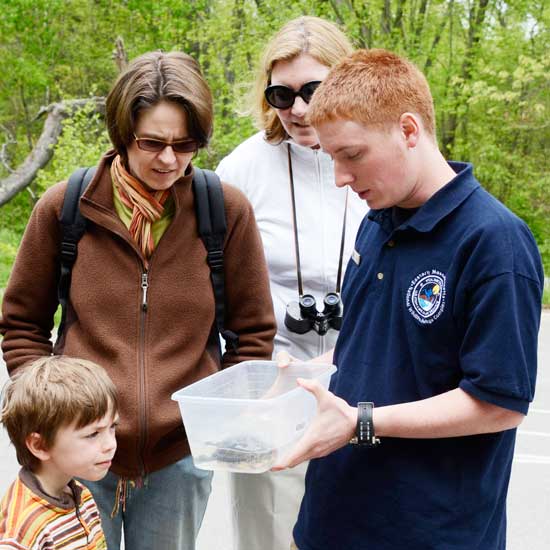 Miles Fischer, Ursula Nowak, Anne Hulecki, and Dan Cannata, an intern for Mass Wildlife. (Photo by John Sharko)