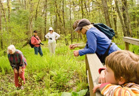 Rona Balco spots a Blanding’s Turtle while John Sharko, Anne Hulecki, Ursula Nowak, Beth Wilson, and Miles Fischer look on. (Photo by Katy Sharko).