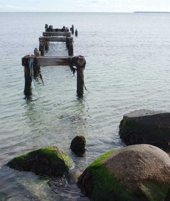 Ancient pier, Falmouth, Mass. (Photo by Sue Fitterman)