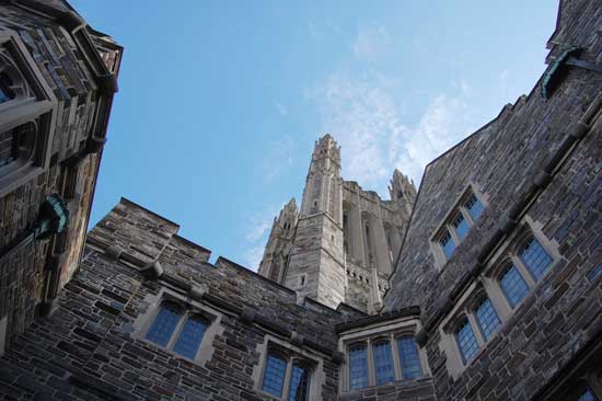 Pursuing new heights. (Photo by Carole Lee Tonge)