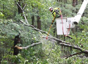 Jason Johnston of Lewis Trees (a subcontractor to National Grid) clears the lines on Mill Road after a large oak fell over, blocking the road. (Photo by Lisa Aciukewicz) 