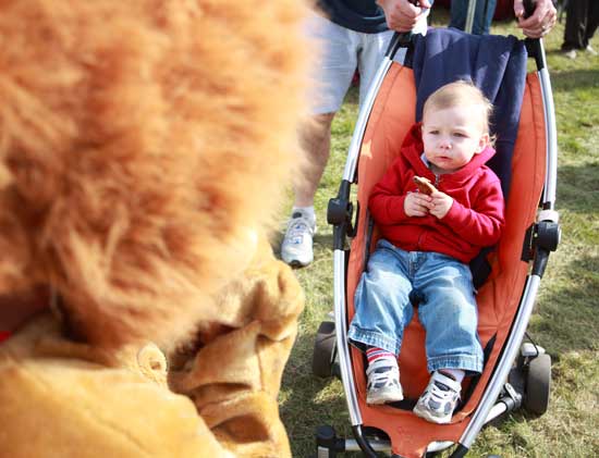 Anderson Sweeney looks quizically at the Harvard Lion mascot. 
