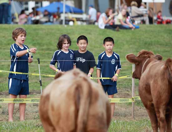 From left: Jack Donaldson, Hunter Carroll, Kevin Yu, and Jack Yu make their own wager on which cow will “produce” first in the Cow Plop Bingo contest.