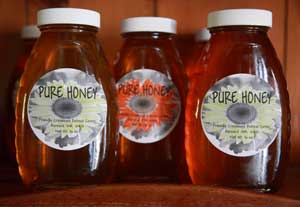 Mary Helen Turner’s prize winning honey. (Photo by Lisa Aciukewicz)