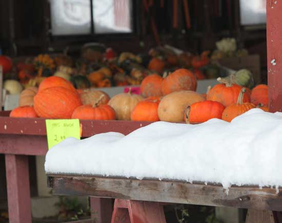 Produce in cold storage at Willard's Farm Stand. Produce in cold storage at Willard's Farm Stand.