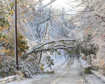 A tree stretches the power lines on Still River Road. (Photo by Lisa Aciukewicz)