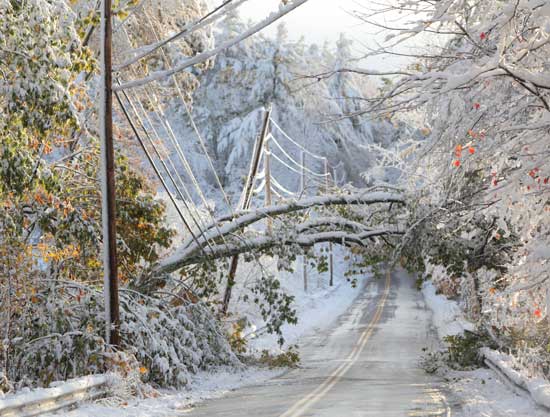A tree stretches the power lines on Still River Road. A tree stretches the power lines on Still River Road.