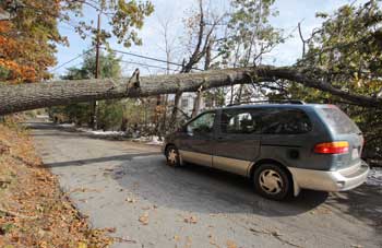 A minivan passes under a tree fallen across Littleton County Road. (Photo by Lisa Aciukewicz)