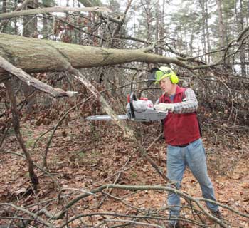Phil Knoettner sets to work clearing an oak tree that was felled by the Oct. 30 snowstorm on the Sprague Lands Conservation area off West Bare Hill Road. The tree is one of many clogging town conservation trails. (Photo by Lisa Aciukewicz)