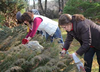 Certified horticultural therapist Jennifer Angell (far right) leads a workshop on wreath making. Before the workshop, Angell took participants out to gather wreath-making materials from the gardens. (Photo by Lisa Aciukewicz) Certified horticultural therapist Jennifer Angell (far right) leads a workshop on wreath making. Before the workshop, Angell took participants out to gather wreath-making materials from the gardens. (Photo by Lisa Aciukewicz)