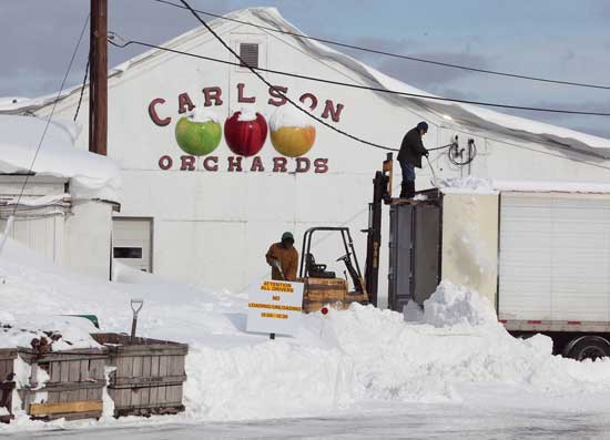 Workers shovel off the roofs of tractor trailers at Carlson Orchards after yet another January snowstorm.