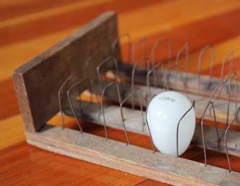 The safety egg carrier on display at the Harvard Historical Society. (Photo by Lisa Aciukewicz)
